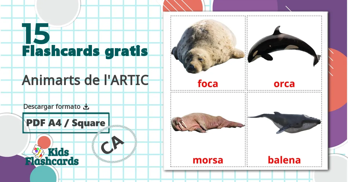 15 tarjetas didacticas de Animarts de l'ARTIC