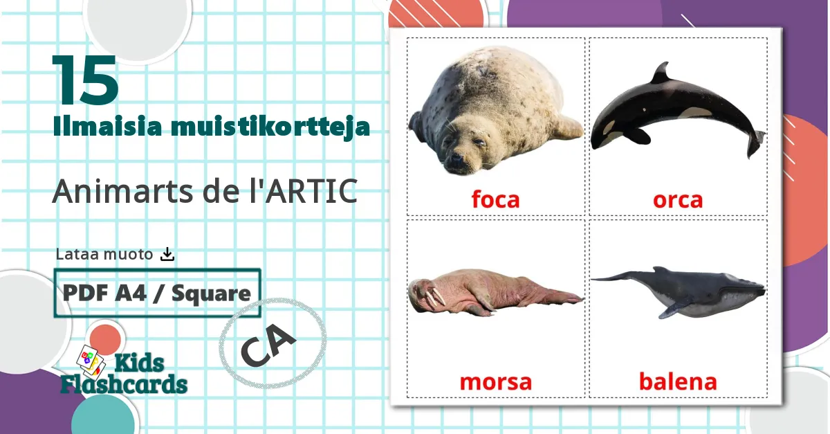 15 Animarts de l'ARTIC lasten kuvakortit