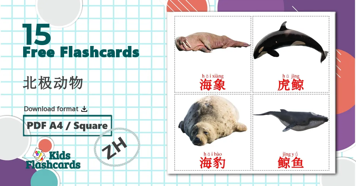 15 北极动物 flashcards