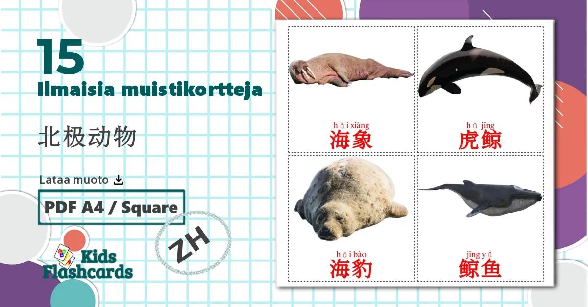 15 北极动物 lasten kuvakortit