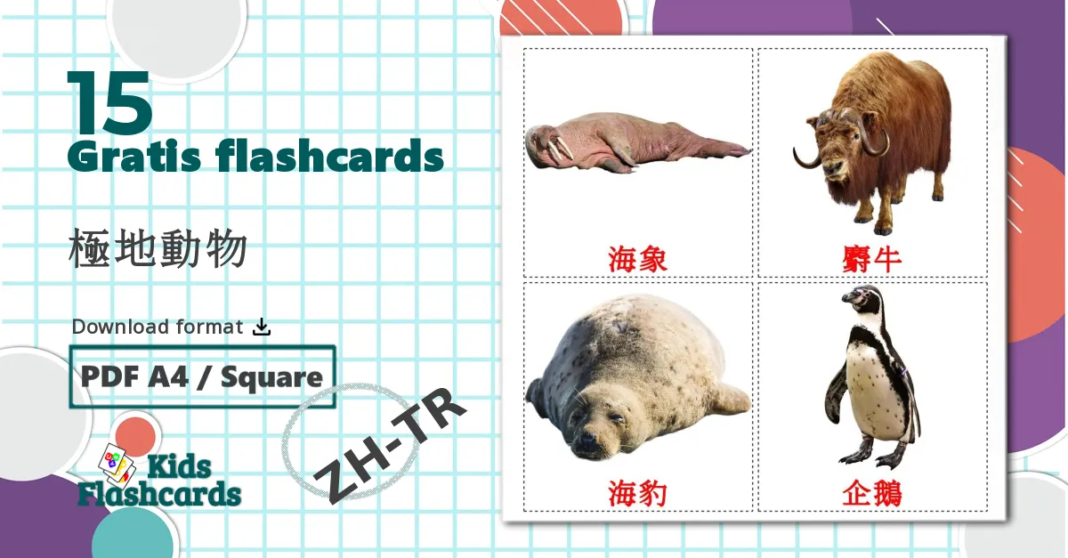 15 極地動物 billedkort for børn