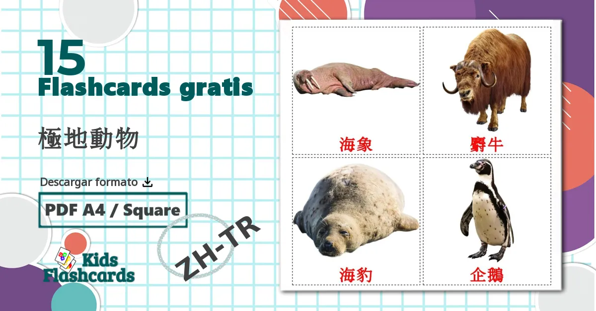 15 tarjetas didacticas de 極地動物