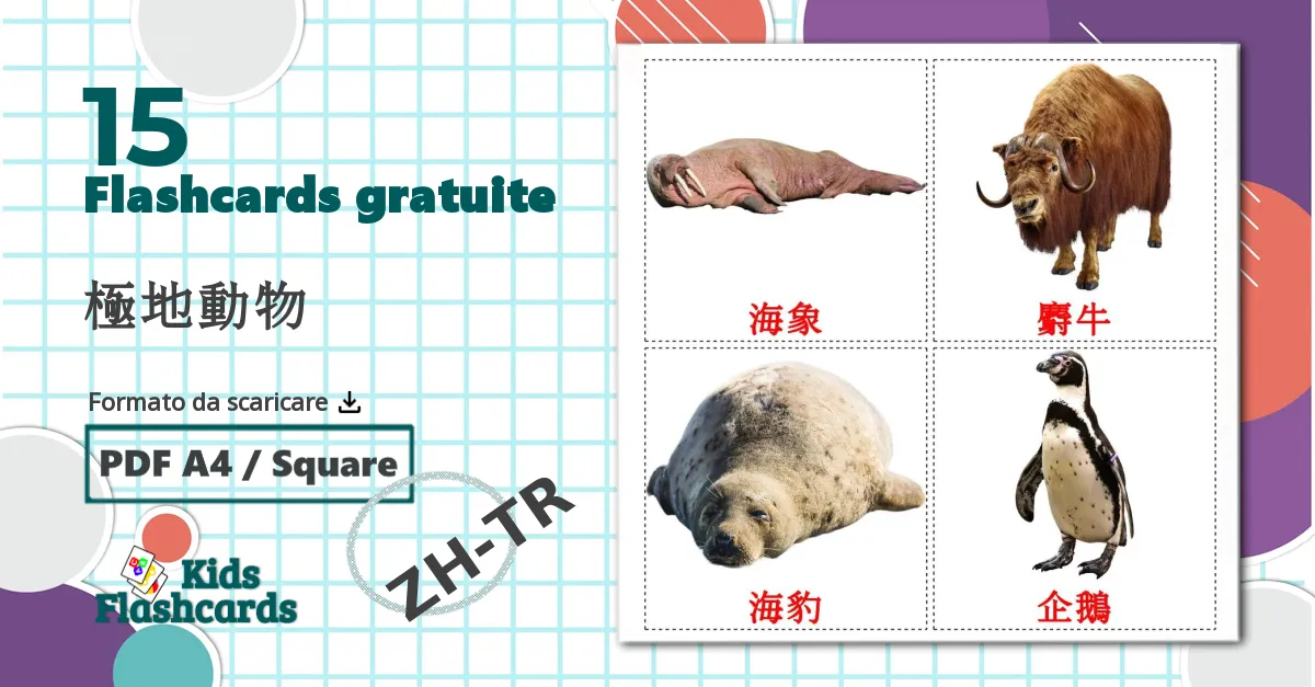 15 flashcards di 極地動物