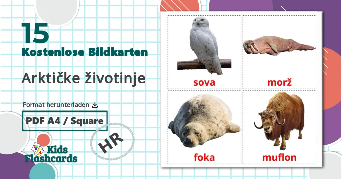 15 Bildkarten für Arktičke životinje