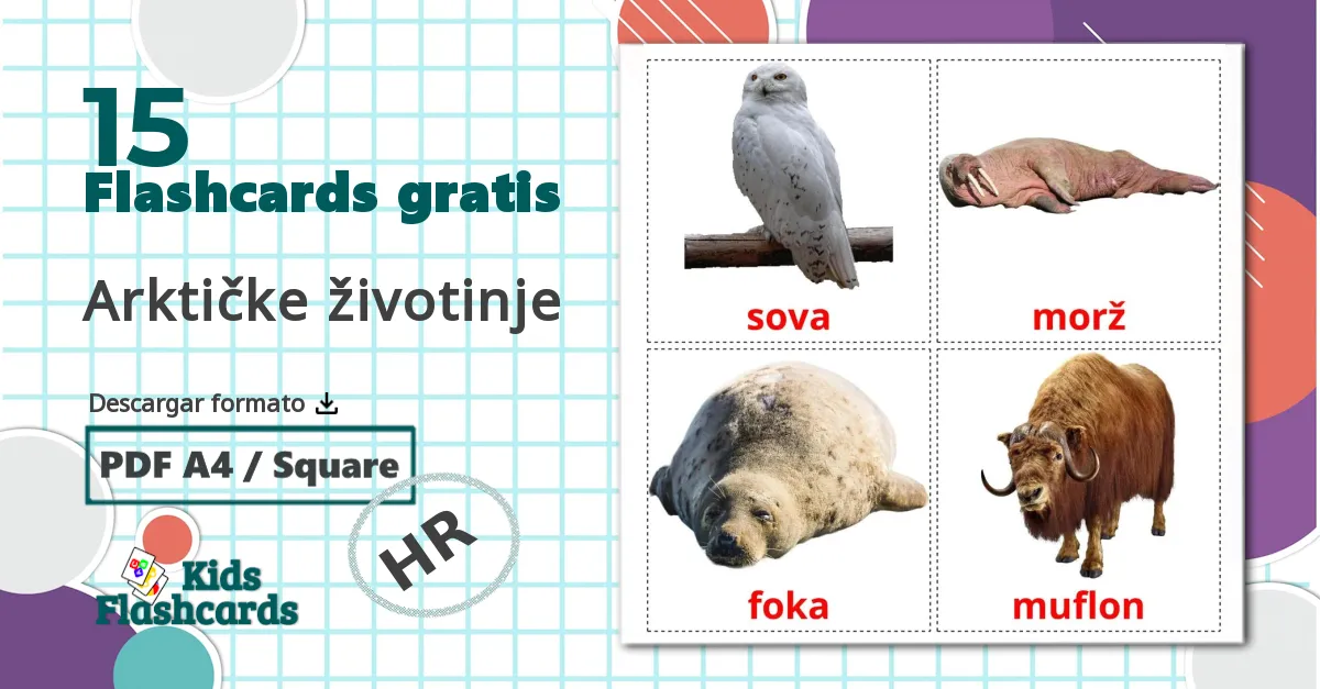 15 tarjetas didacticas de Animales del Ártico