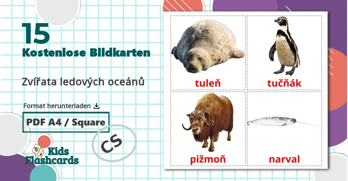 15 Bildkarten für Zvířata ledových oceánů