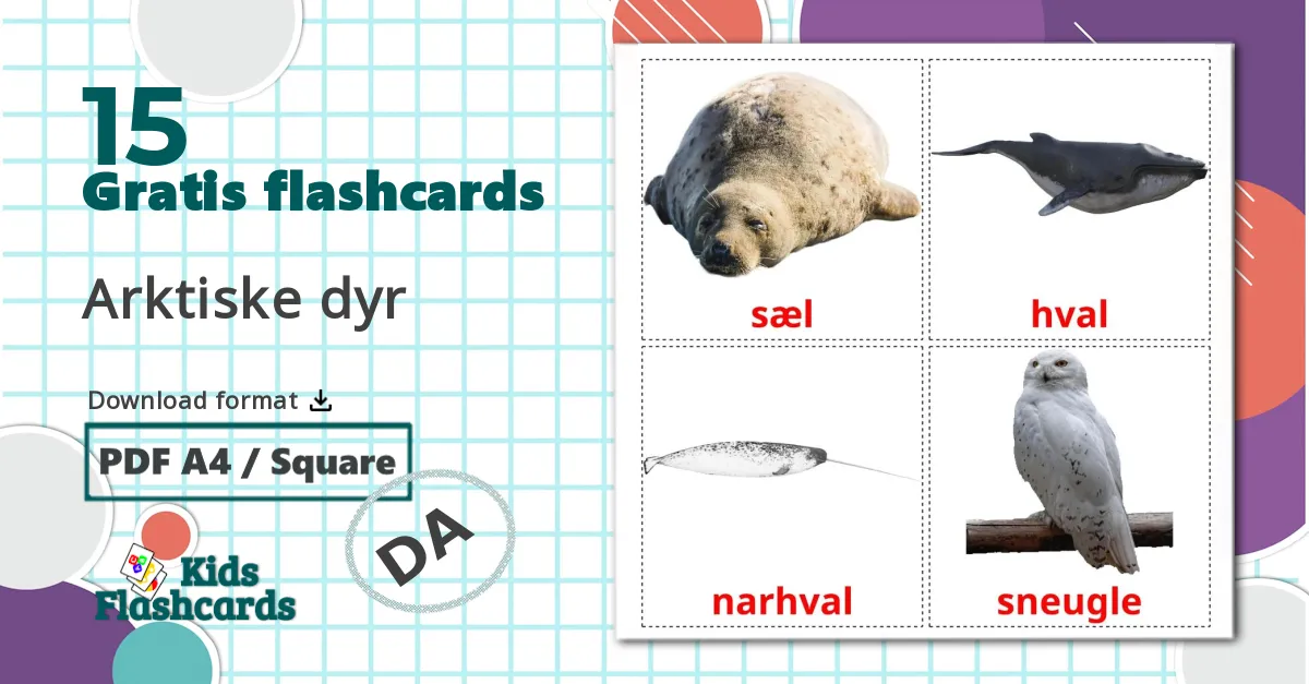 15 Arktiske dyr billedkort for børn