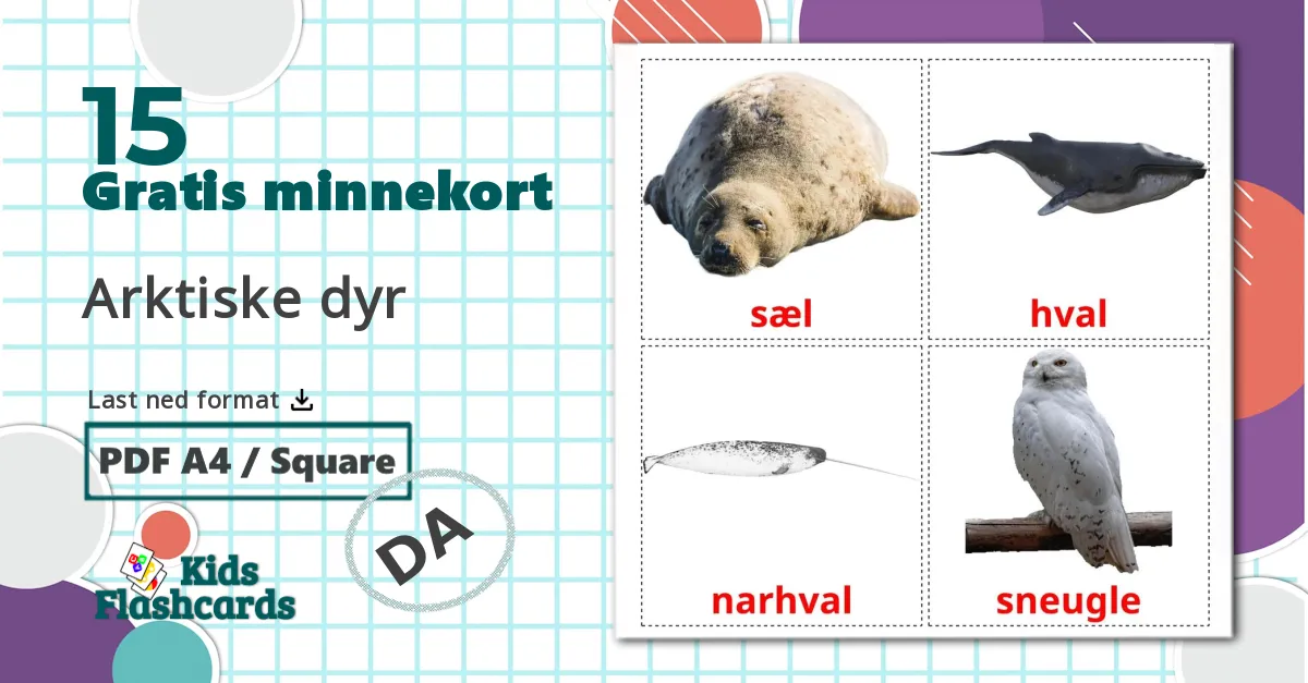15 Arktiske dyr bildekort