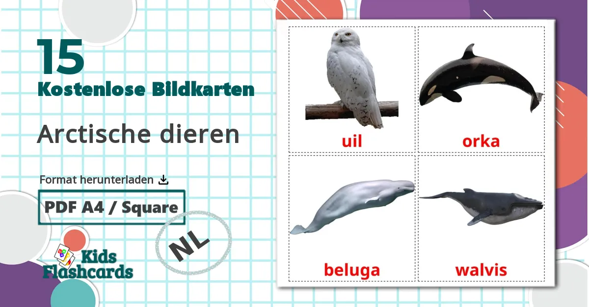 15 Bildkarten für Arctische dieren