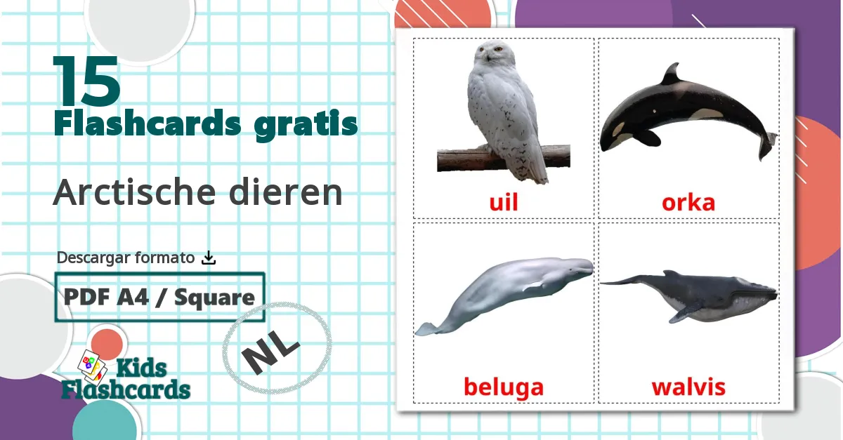 15 tarjetas didacticas de Arctische dieren