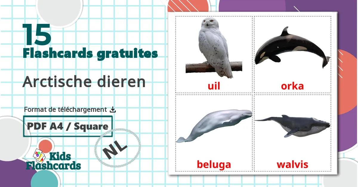 15 Imagiers Arctische dieren