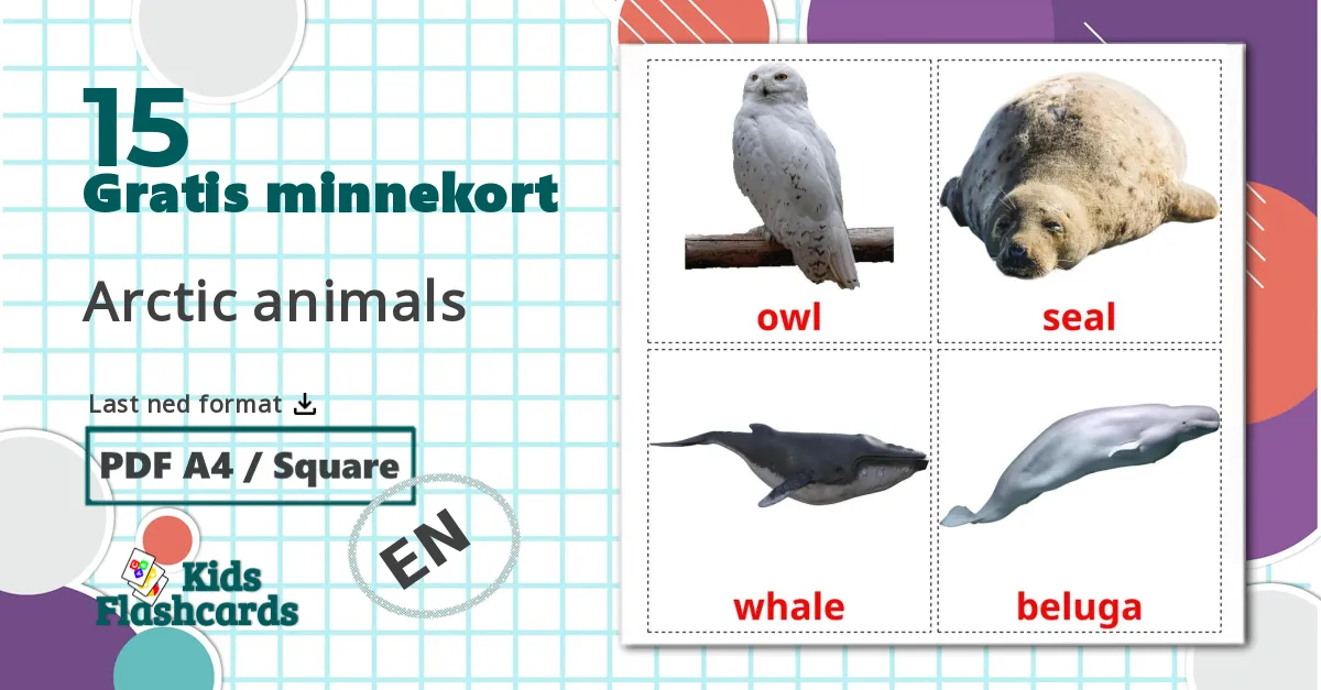 15 Arctic animals bildekort