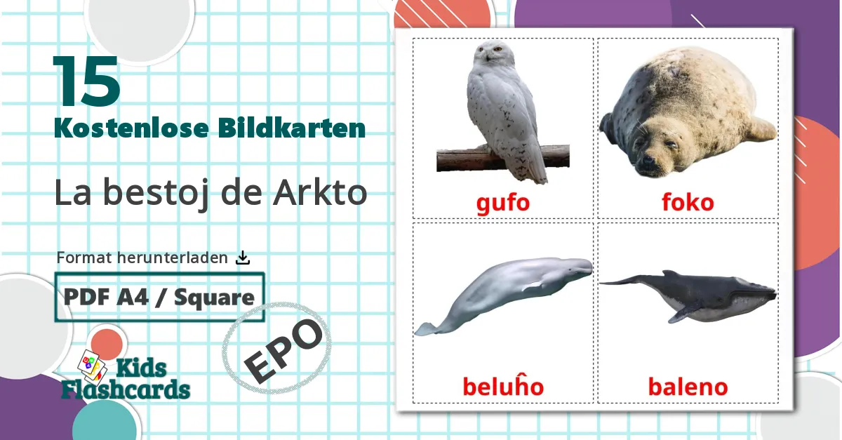 15 Bildkarten für La bestoj de Arkto