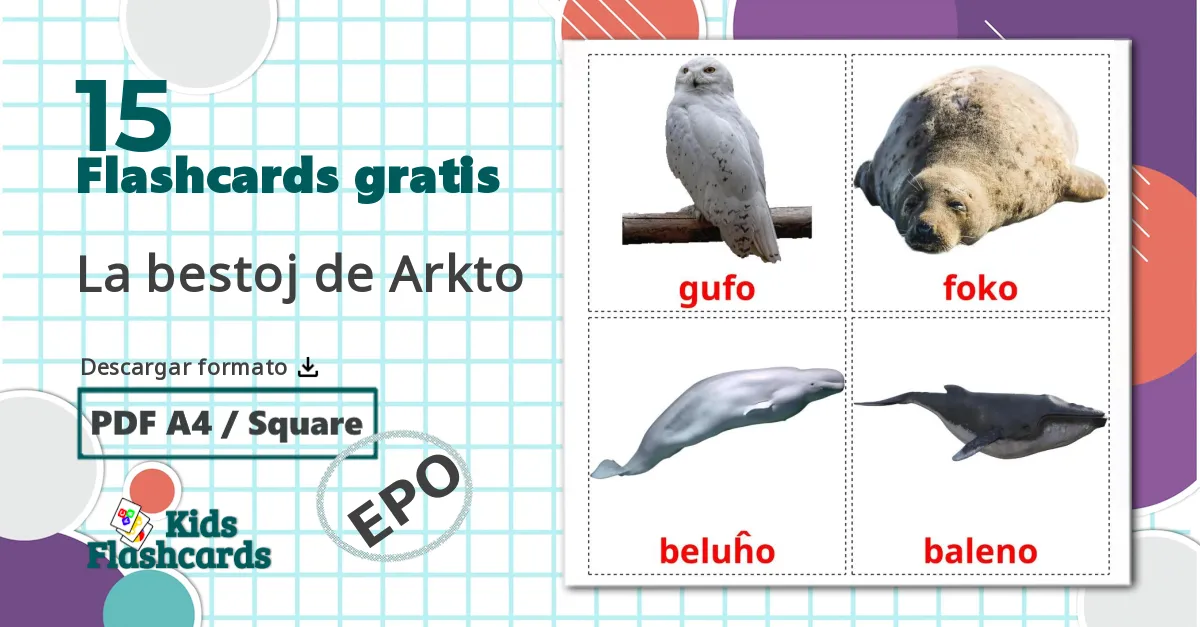 15 tarjetas didacticas de La bestoj de Arkto