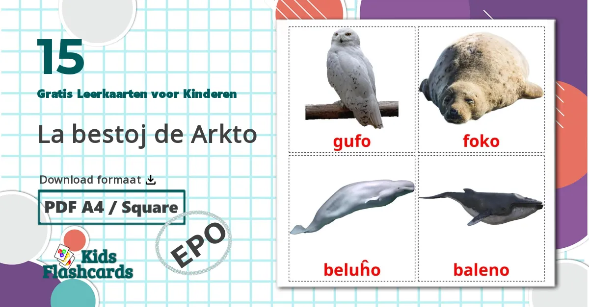 15 La bestoj de Arkto Leerkaarten voor kinderen