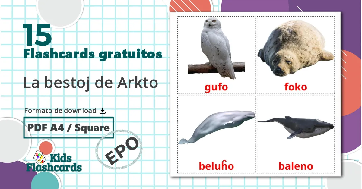 15 Flashcards de La bestoj de Arkto