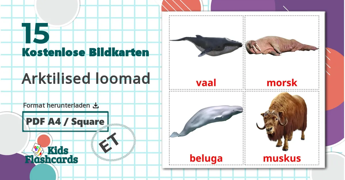 15 Bildkarten für Arktilised loomad