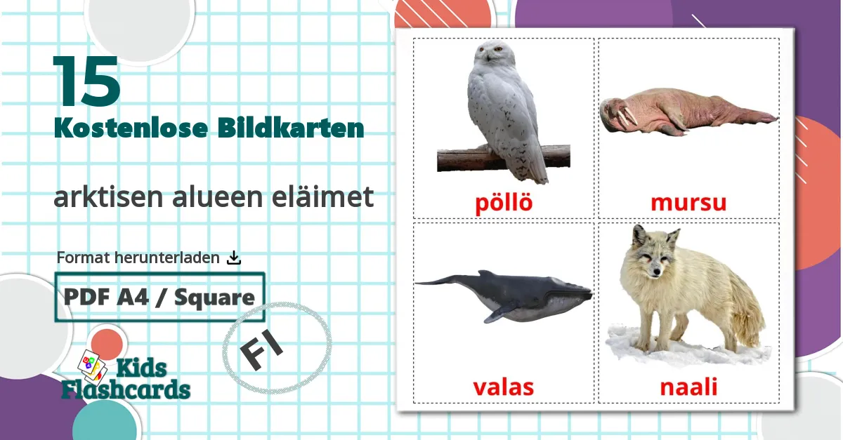 15 Bildkarten für arktisen alueen eläimet