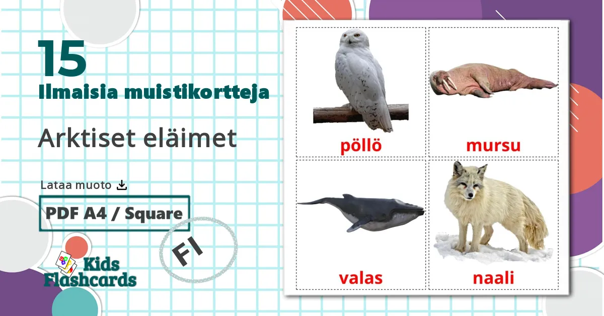15 Arktiset eläimet lasten kuvakortit