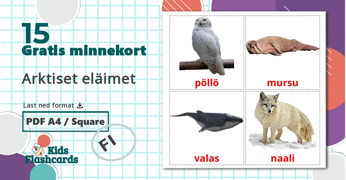 15 Arktiset eläimet bildekort