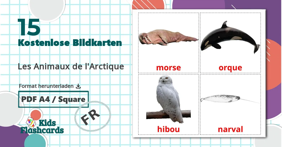 15 Bildkarten für Les Animaux de l'Arctique