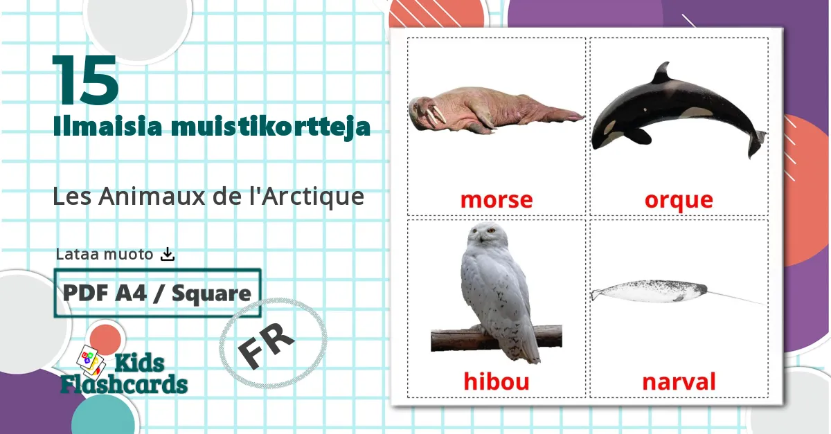 15 Les Animaux de l'Arctique lasten kuvakortit
