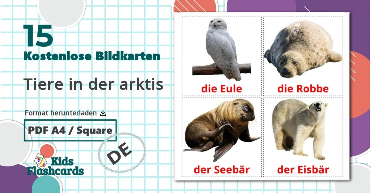 15 Bildkarten für Tiere in der arktis