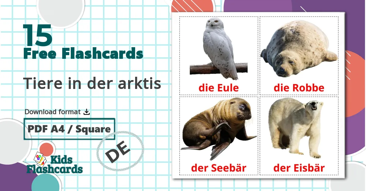 15 Tiere in der arktis flashcards