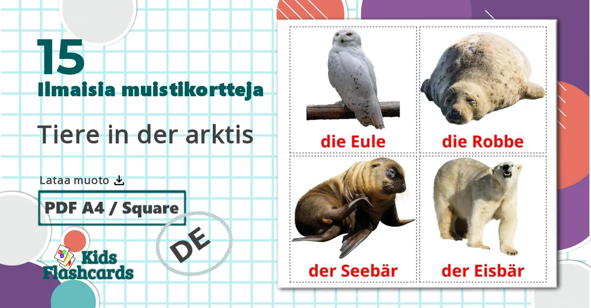 15 Arktiset eläimet lasten kuvakortit