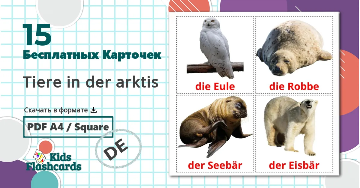 15 Карточки Домана Tiere in der arktis