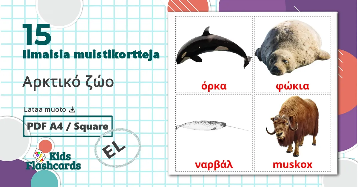15 Αρκτικό ζώο lasten kuvakortit