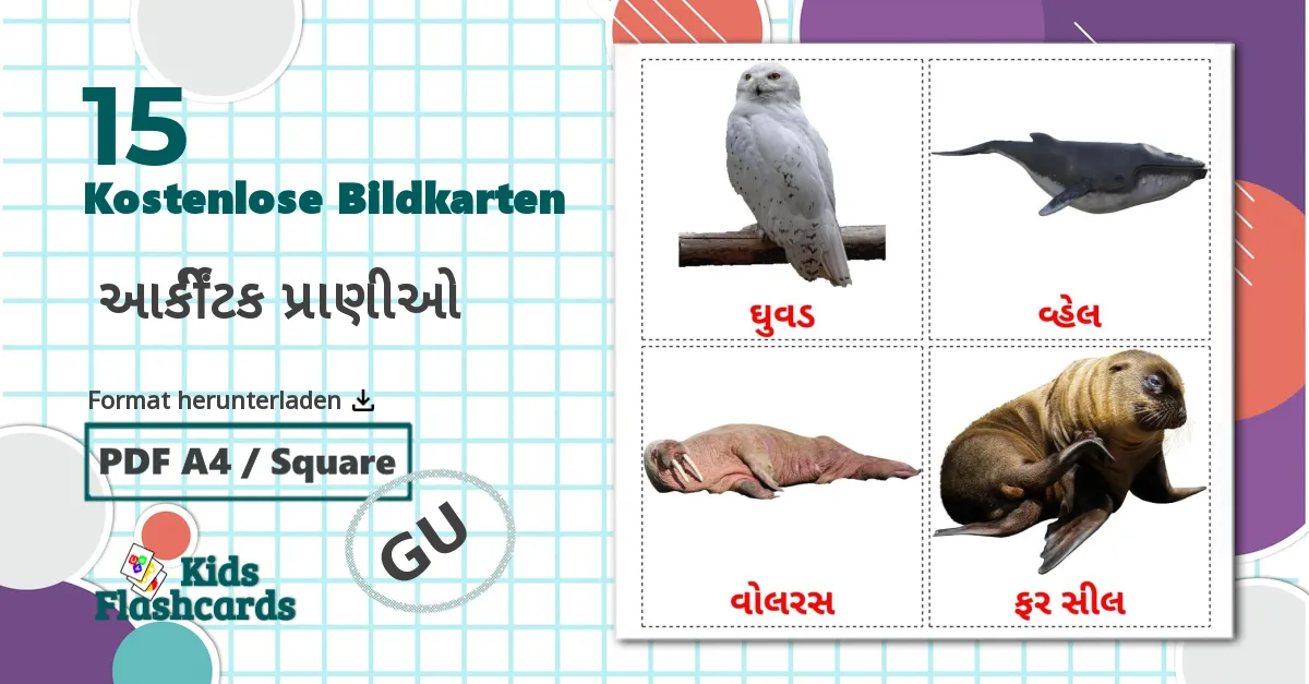 15 Bildkarten für  આર્કટિક પ્રાણીઓ