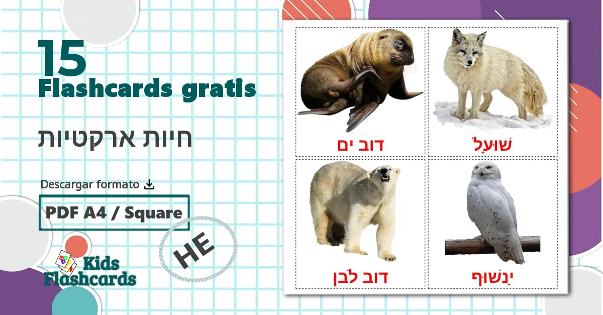 15 tarjetas didacticas de חיות ארקטיות