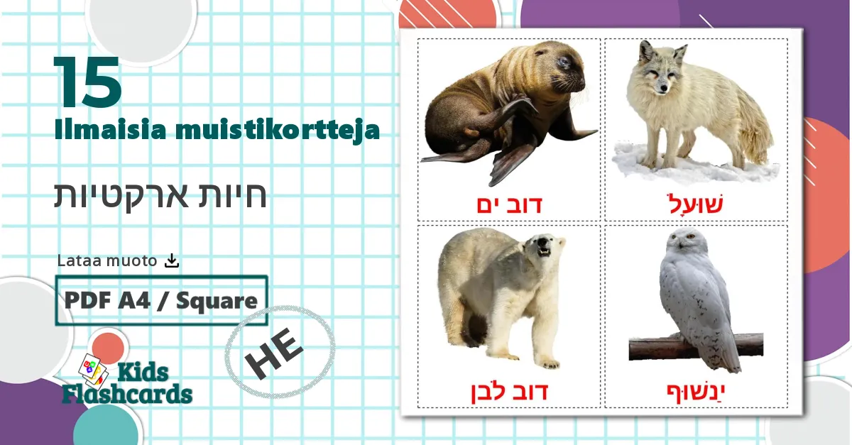 15 חיות ארקטיות lasten kuvakortit