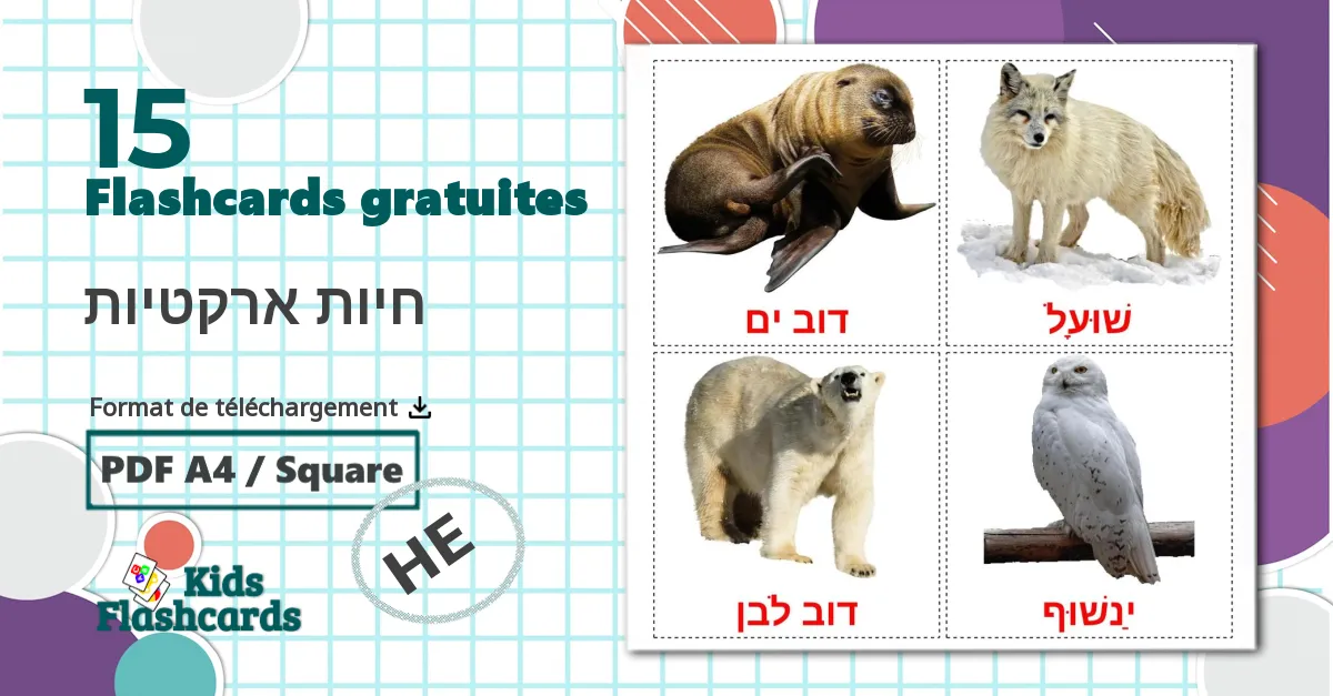 15 Imagiers חיות ארקטיות