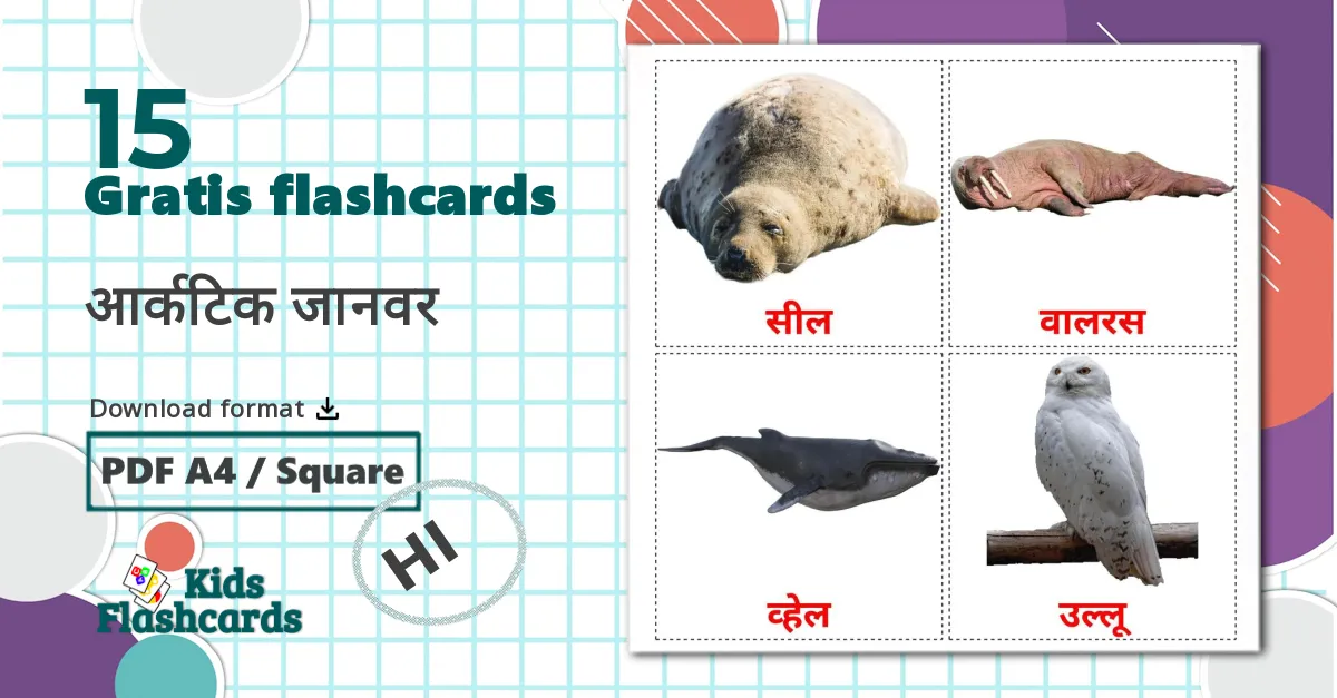15 आर्कटिक जानवर billedkort for børn