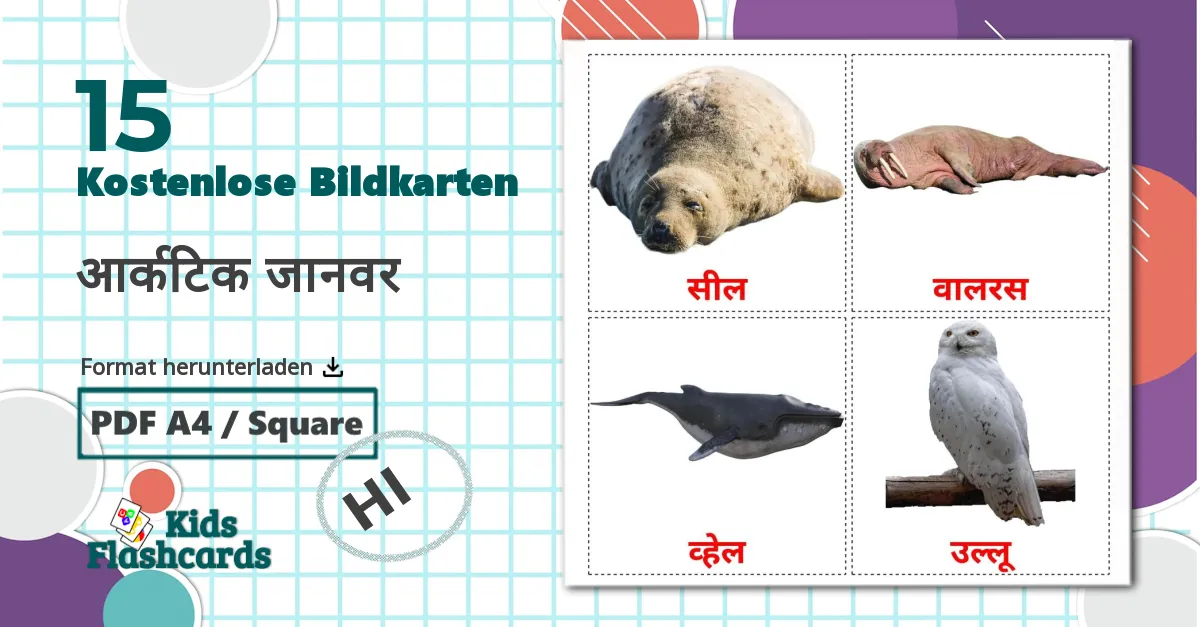 15 Bildkarten für आर्कटिक जानवर