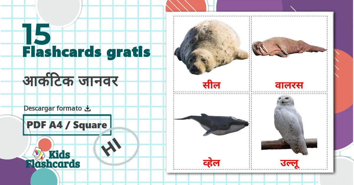 15 tarjetas didacticas de आर्कटिक जानवर