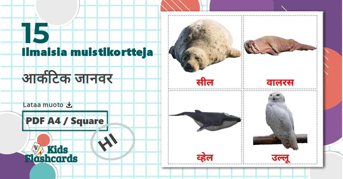 15 आर्कटिक जानवर lasten kuvakortit
