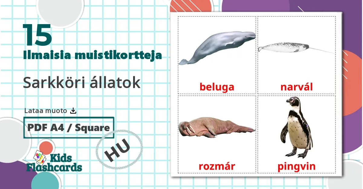15 Sarkköri állatok lasten kuvakortit