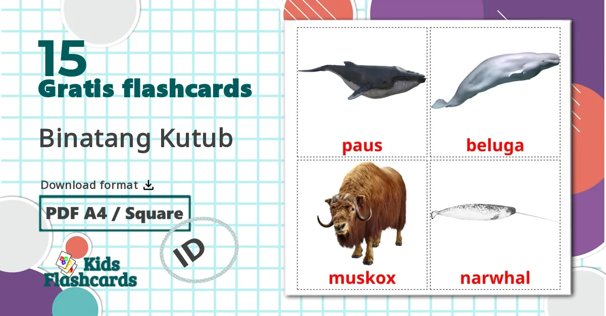 15 Binatang Kutub billedkort for børn