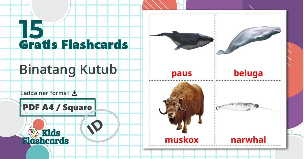 15 Binatang Kutub bildkort för barn