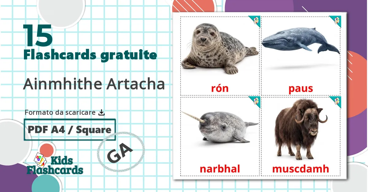 15 flashcards di Animali artici