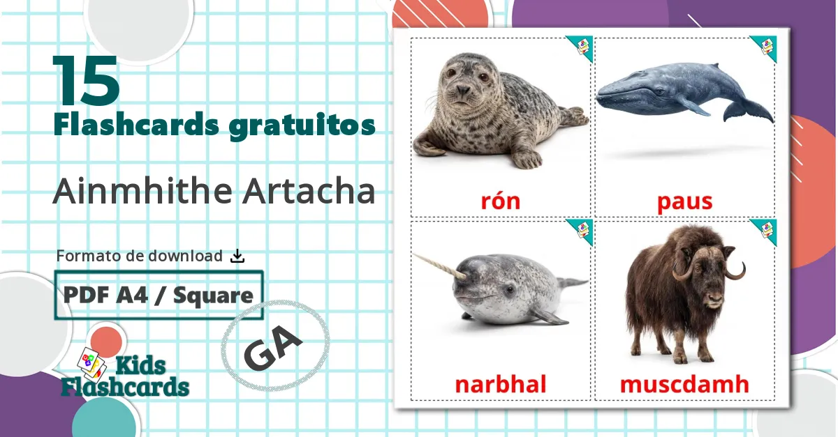 15 Flashcards de Animais do Ártico