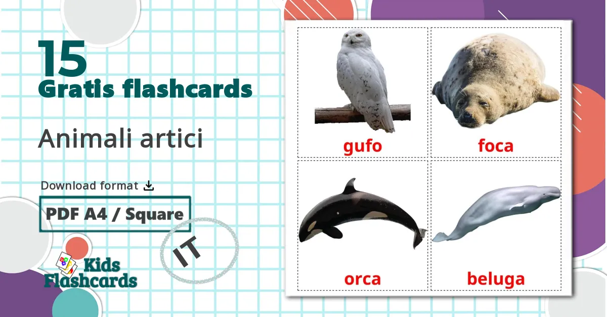 15 Animali artici billedkort for børn