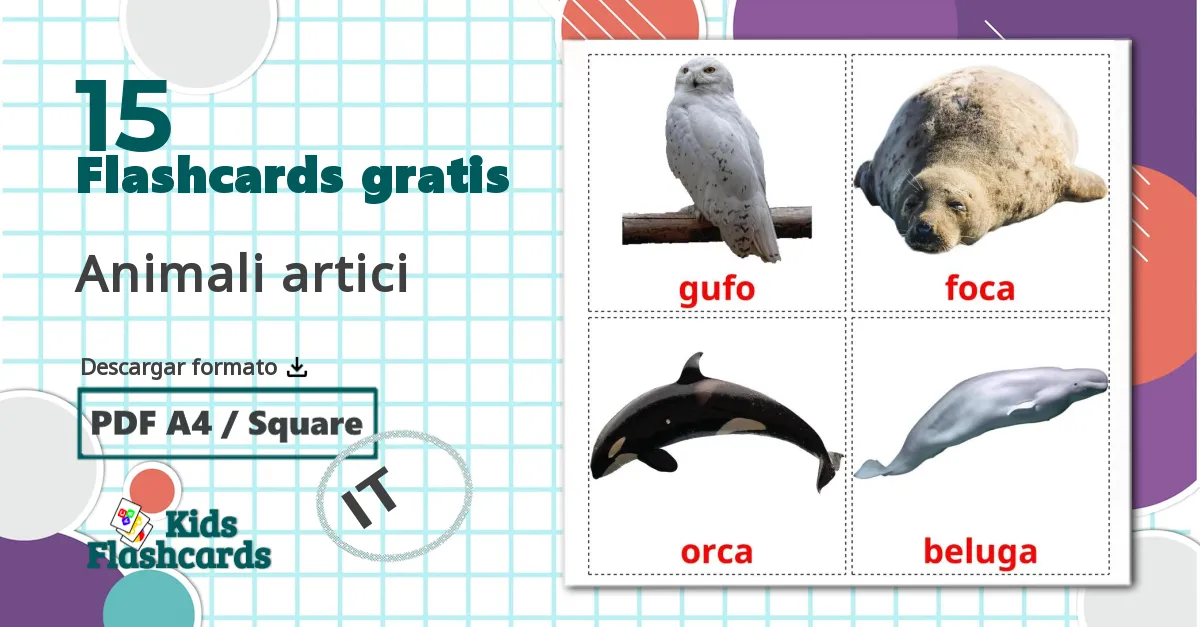 15 tarjetas didacticas de Animales del Ártico