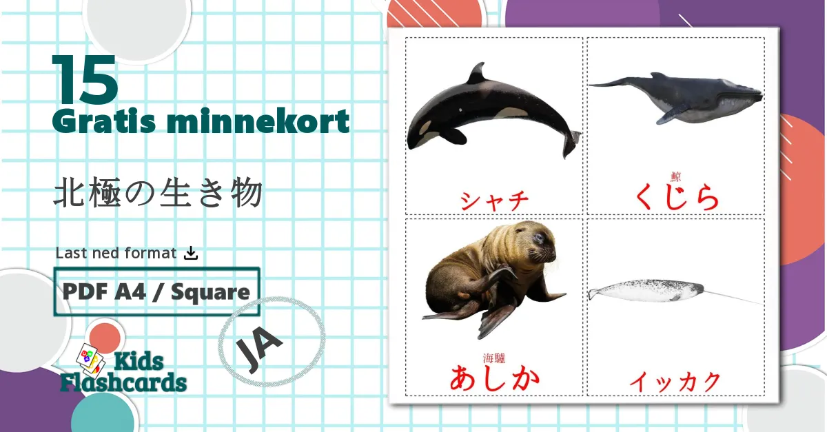 15 北極の生き物 bildekort
