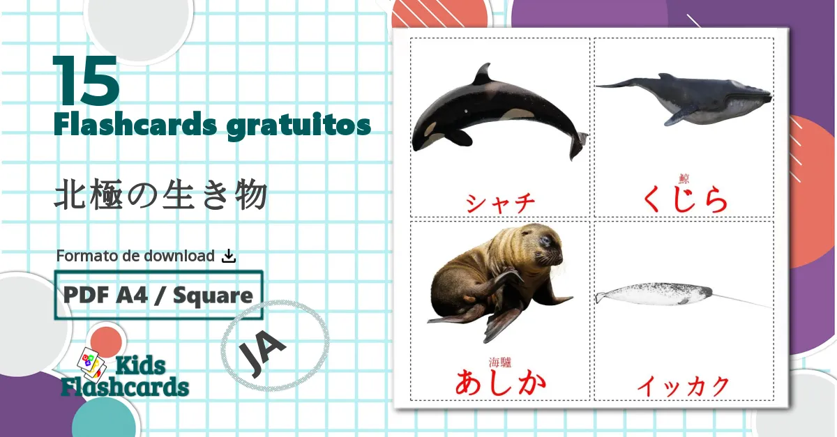 15 Flashcards de 北極の生き物