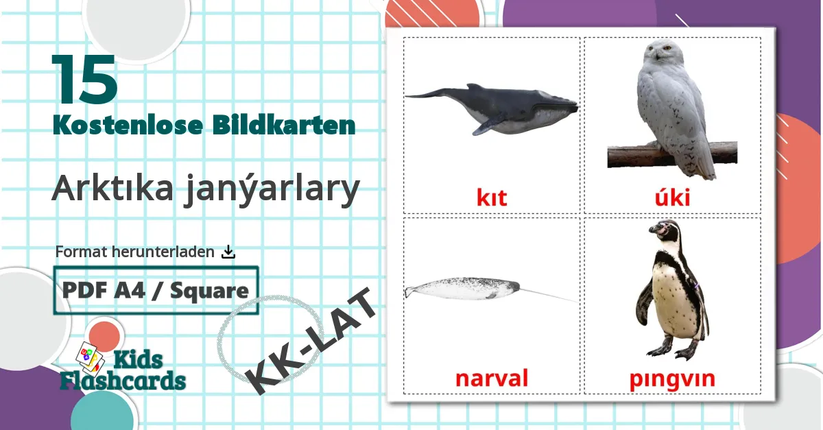 15 Bildkarten für Arktıka janýarlary