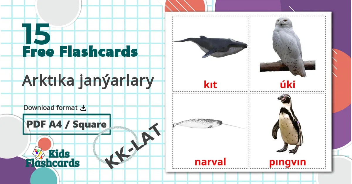 15 Arktıka janýarlary flashcards